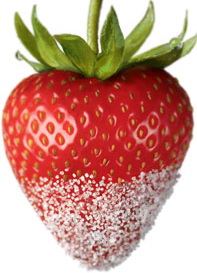 strawberry-rightcolumn1